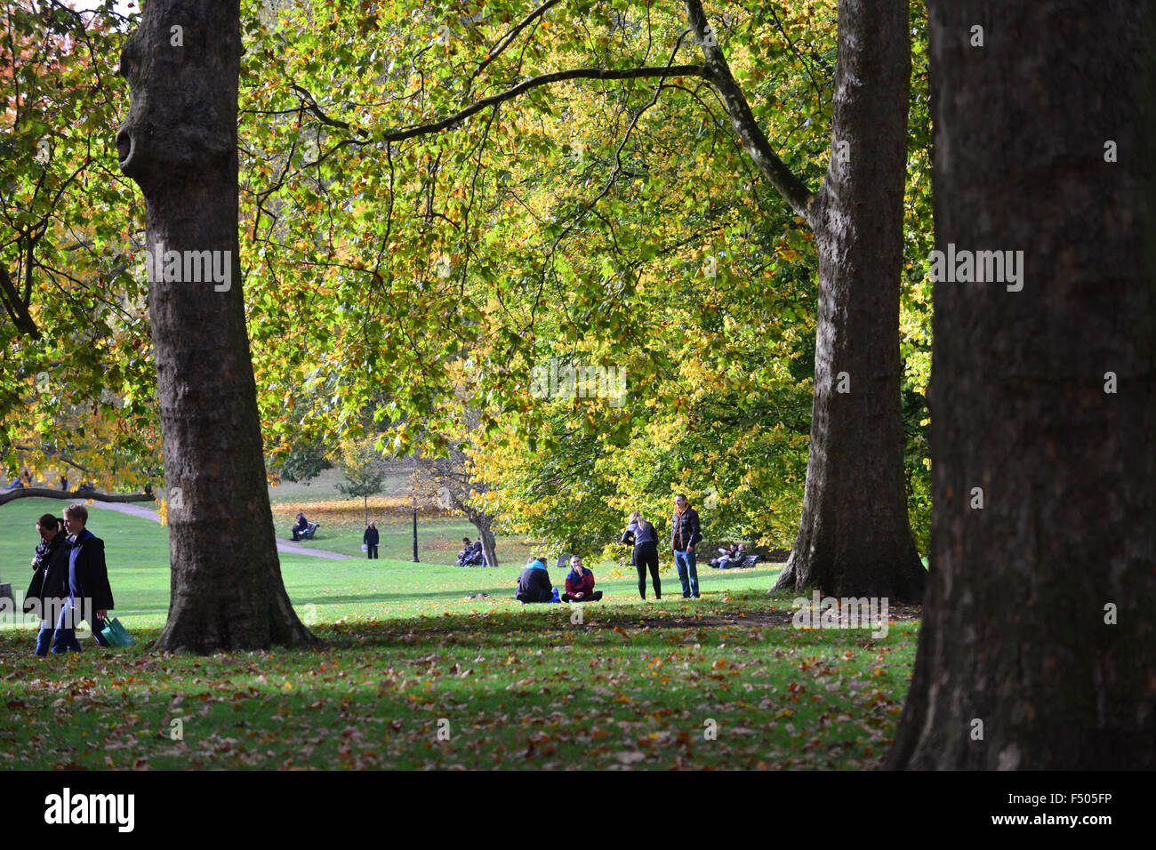 Londra, Regno Unito. Il 25 ottobre 2015. I colori autunnali a St James e Green Park il giorno gli orologi andare indietro di un'ora. © Matthew Cha Foto Stock