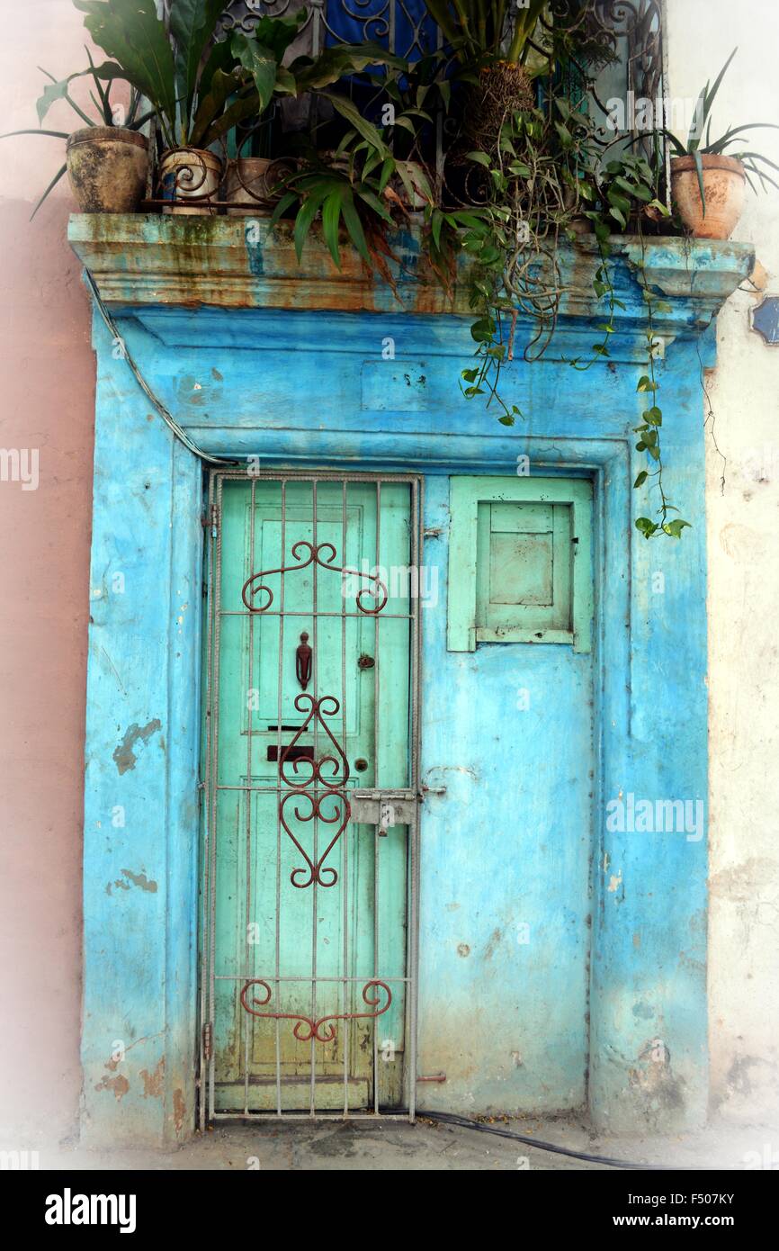 Sbiadito blu porta con piante e griglia in metallo a l'Avana Vecchia Cuba Foto Stock