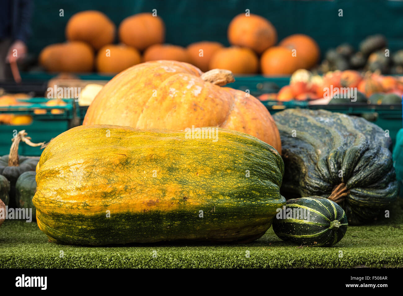 Slindon, West Sussex, Regno Unito. 25 ott 2015. Zucche, zucche e zucche in Sussex sunshine a Slindon zucche, West Sussex. Credito: Julia Claxton/Alamy Live News Foto Stock