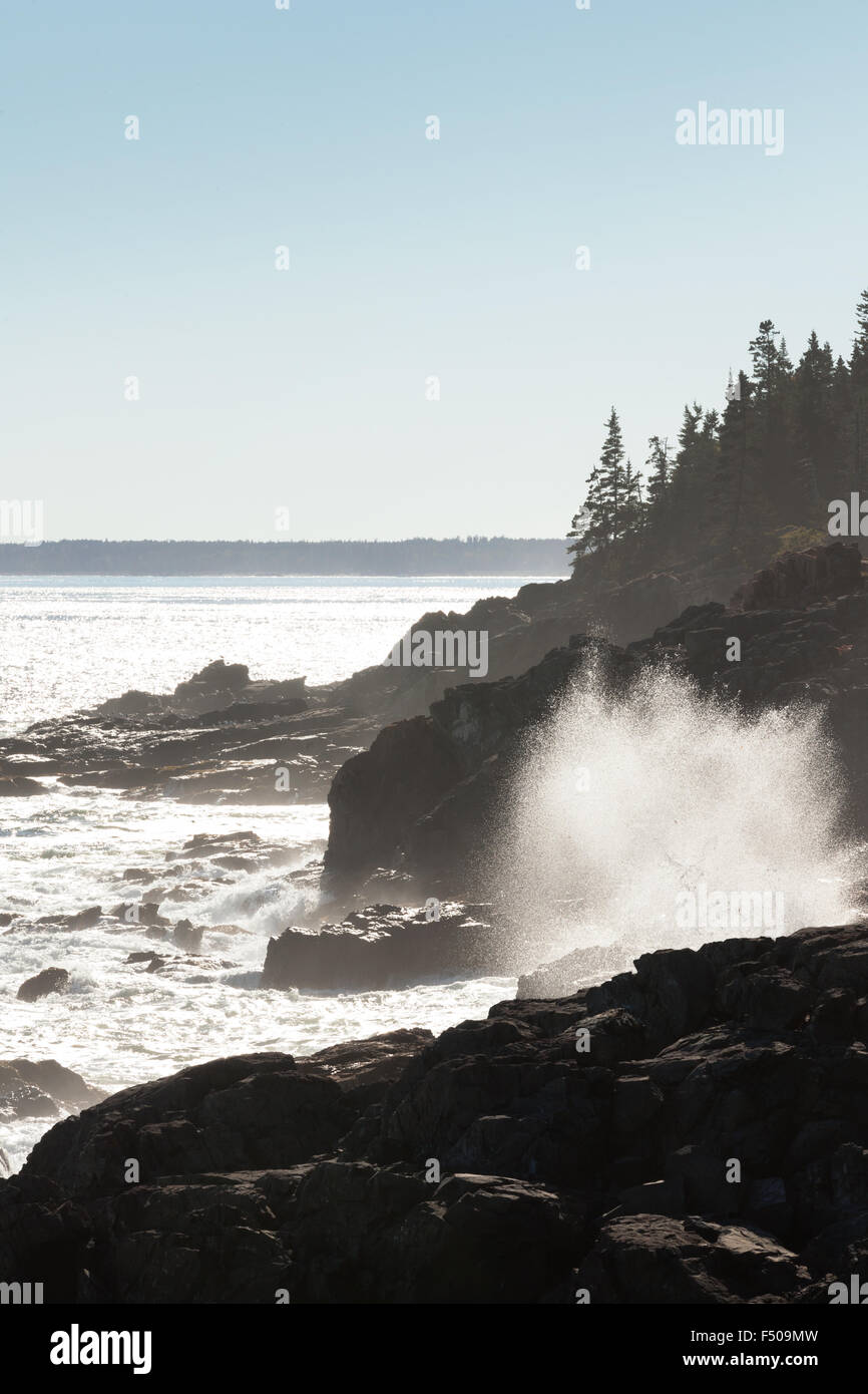 Onde che si infrangono sulle rocce di lontra, costa del Maine al parco nazionale di Acadia, isola di Mount Desert Maine USA Foto Stock