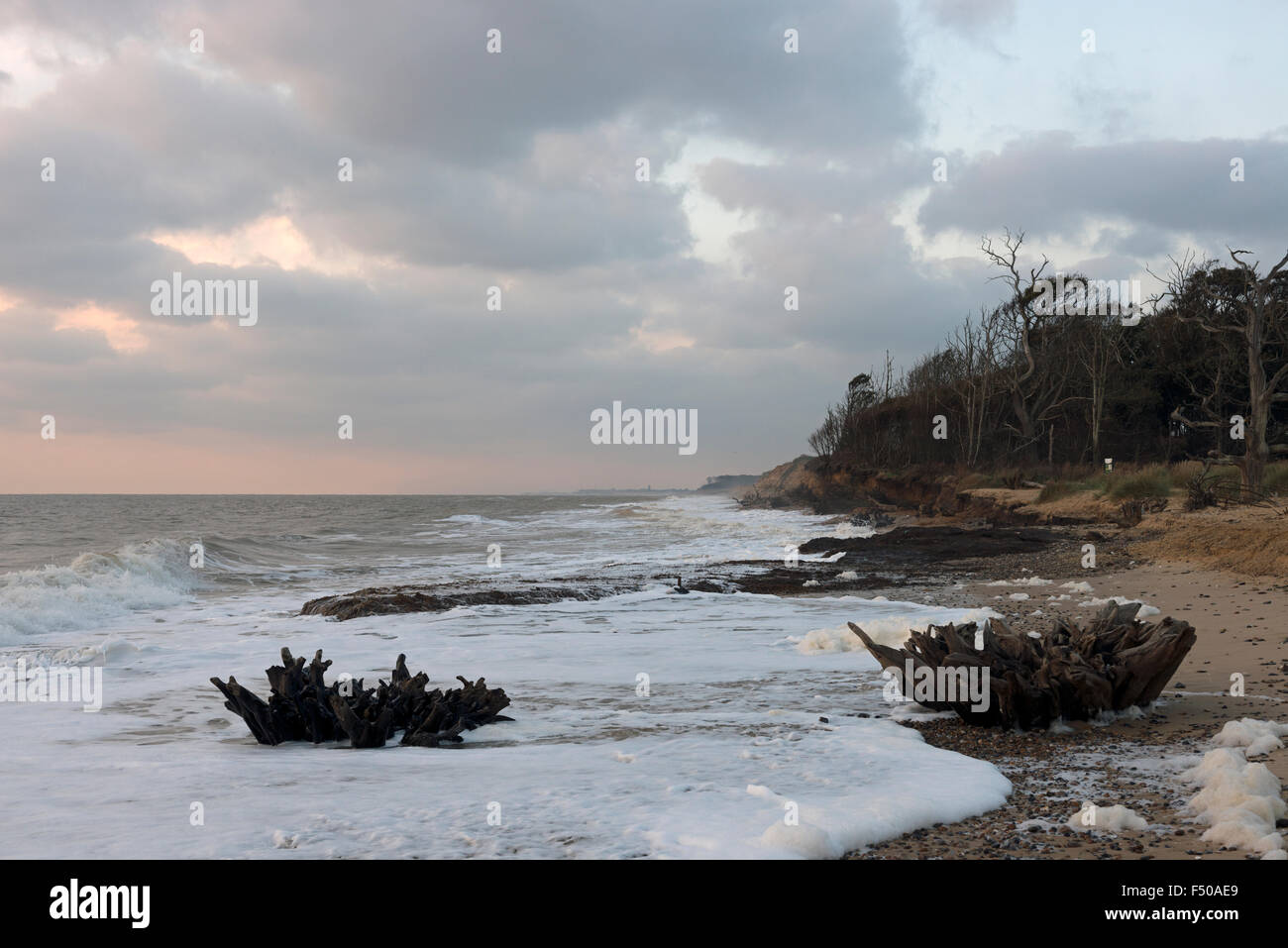 Bassa la posa di terreni a rischio di erosione costiera, Benacre, Suffolk, Regno Unito. Foto Stock