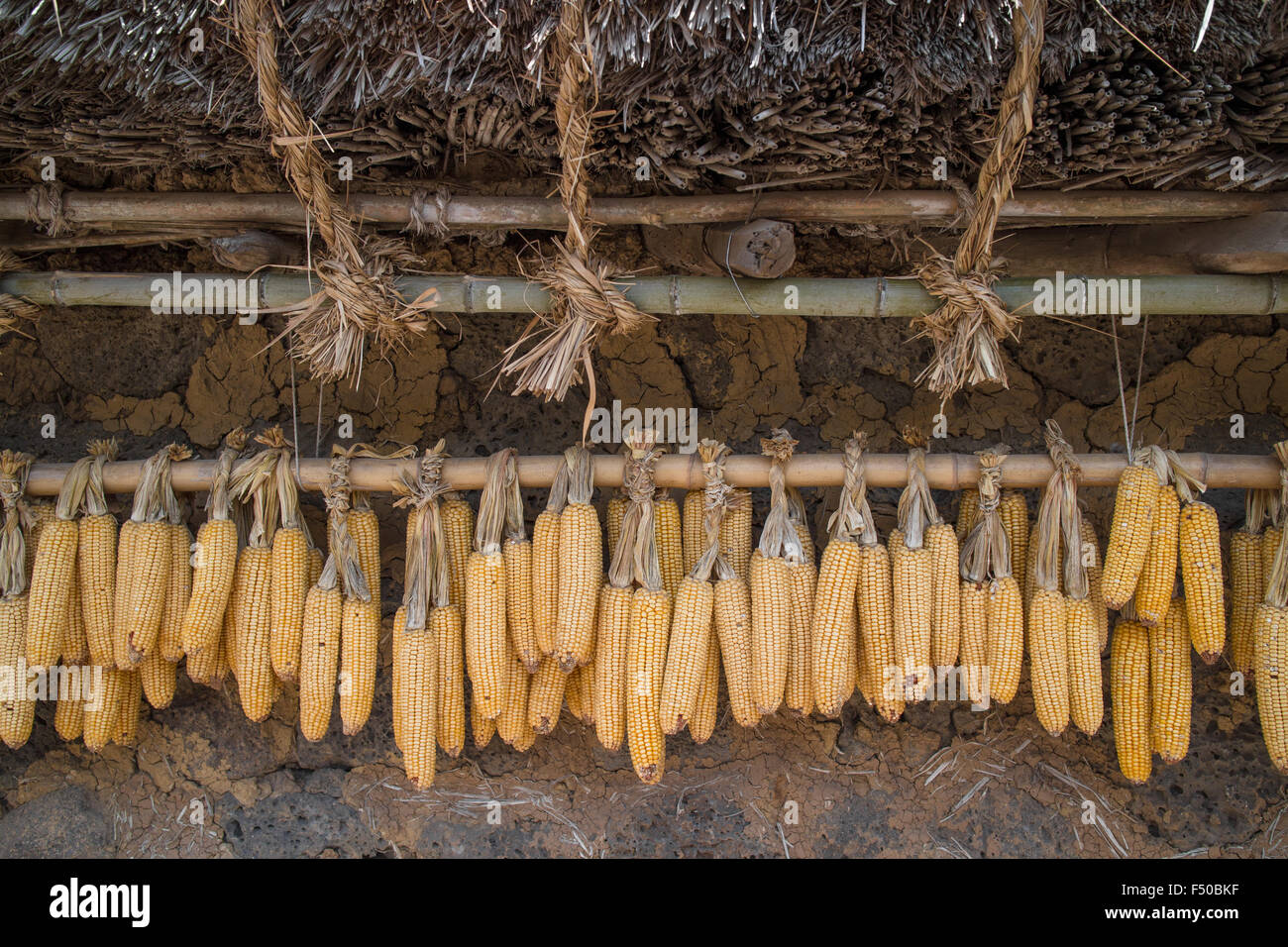 Mais essiccato appeso ad un palo in un folk village di Jeju-do, Corea del Sud Foto Stock