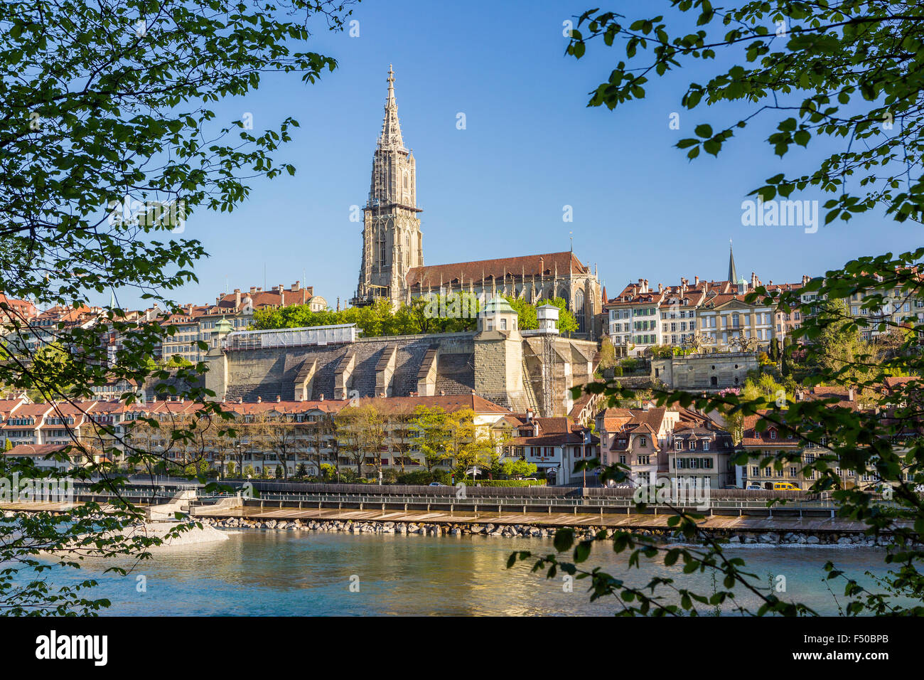 Il fiume Aare con il Munster Cattedrale di Berna in background, Canton Berna, Svizzera. Foto Stock