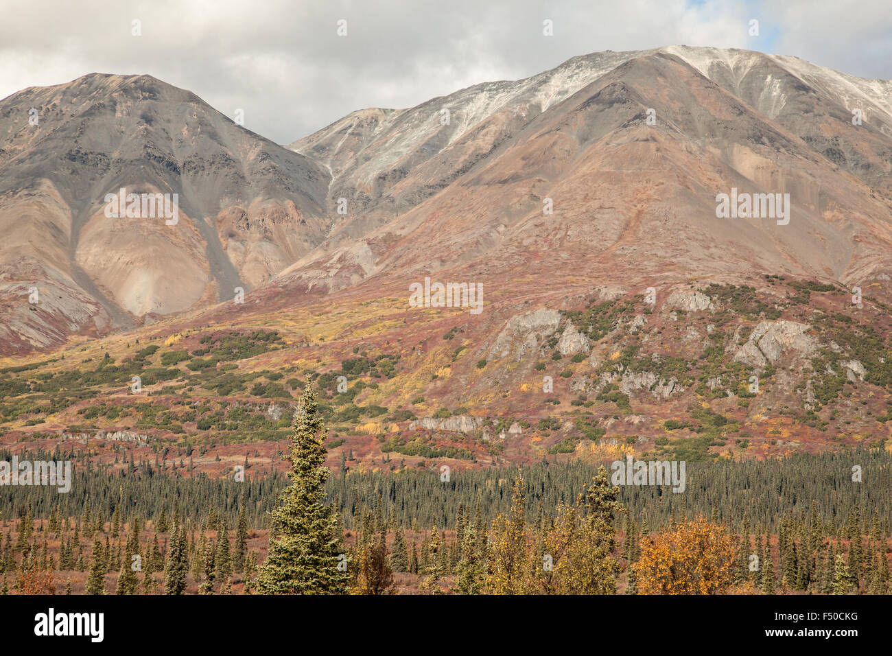 Vedute panoramiche da Denali parco dello stato su George Parks Highway, Alaska Foto Stock