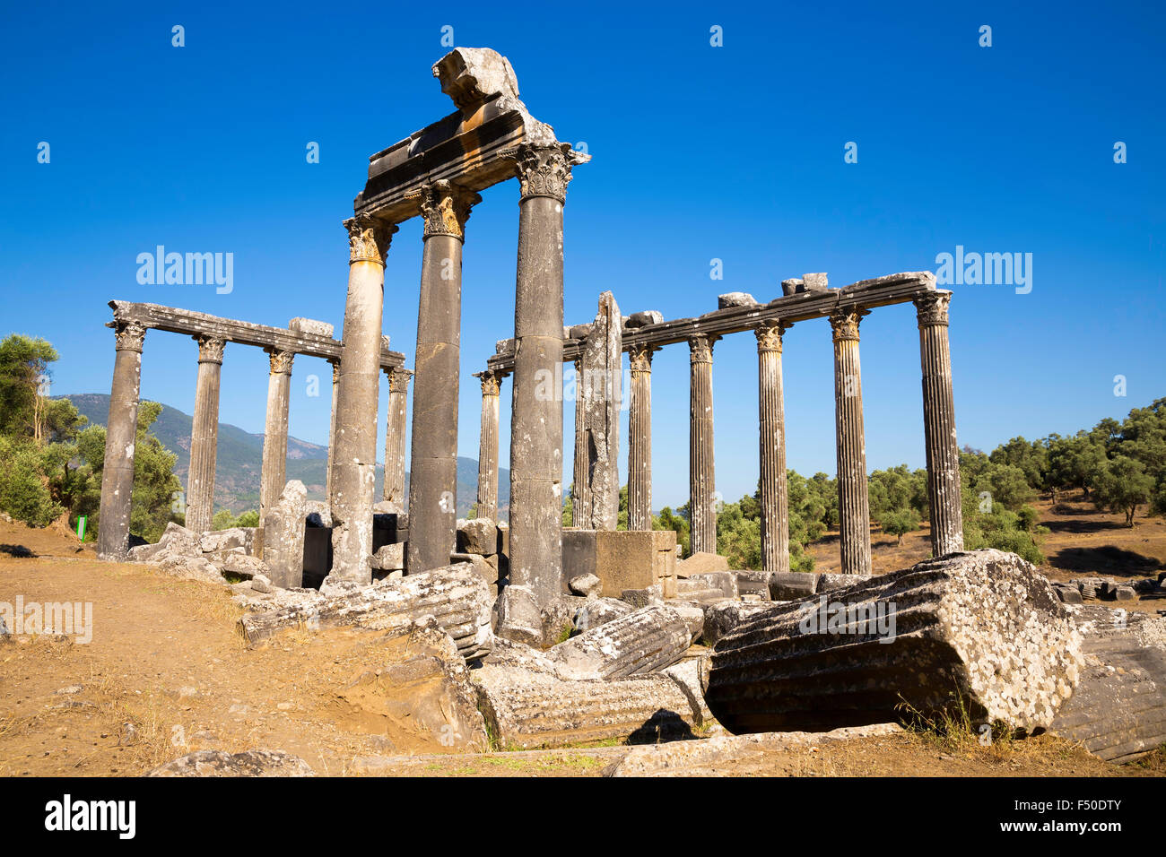 Colonne di Zeus a Euromos fu antica città della Caria Anatolia in Turchia Foto Stock