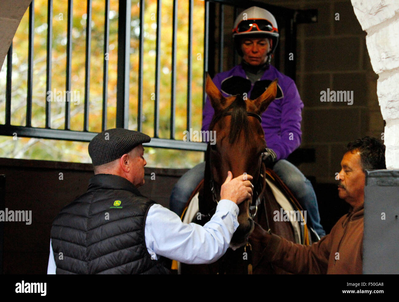 Lexington, KY, Stati Uniti d'America. 25 ott 2015. Ottobre 25, 2015: Beholder, addestrati da Richard Mandella, e proprietà di B. Wayne Hughes, cross iscritto al costitutore's Cup Classic Grado 1 $5.000.000 e il costitutore's Cup conocchia $2,000,000. Credito: Cal Sport Media/Alamy Live News Foto Stock