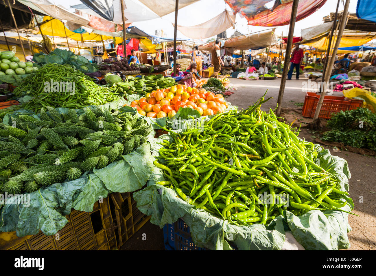 Peperoncini rossi, pomodori e cetrioli sono in vendita presso il settimanale mercato ortofrutticolo Foto Stock Peperoncini rossi, pomodori e cetrioli sono in vendita presso il settimanale mercato ortofrutticolo Foto Stock