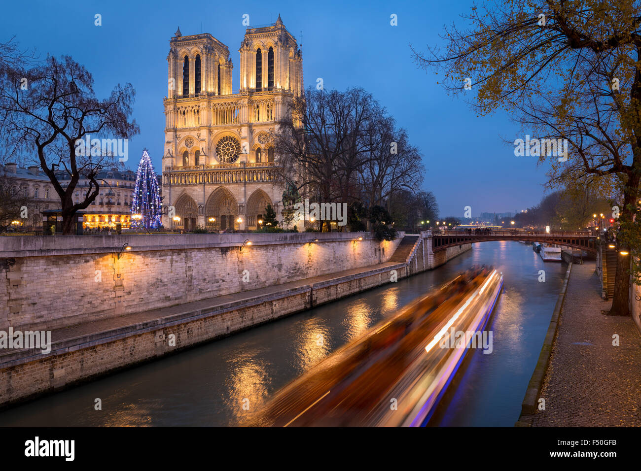 Notre Dame de Paris Cathedral e albero di Natale Illuminazione in serata con il Fiume Senna, Ile de la Cite, Parigi, Francia Foto Stock