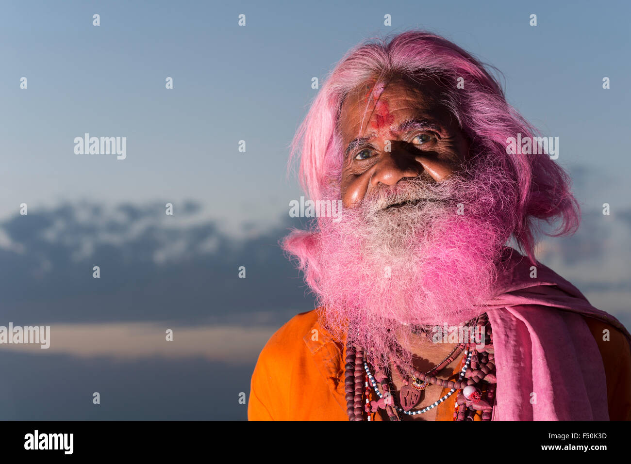 Ritratto di un vecchio uomo che ha avuto il suo solito barba grigio colorato di rosa a Holi festival Foto Stock