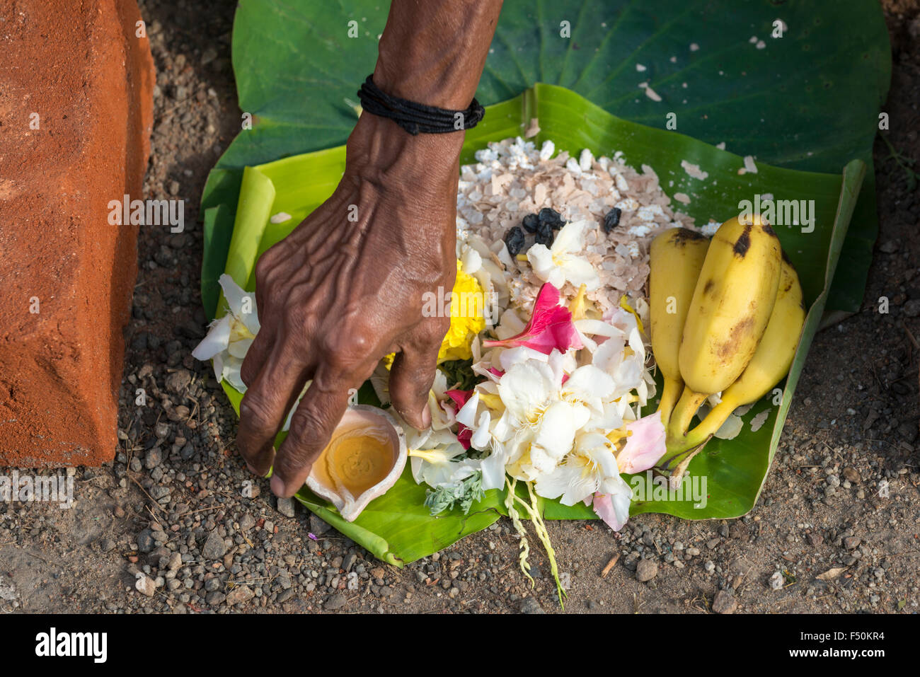 Prasad offerte come le banane, il riso e il ghee per ottenere cotti, sono impostati in una strada trafficata durante il festival pongala Foto Stock