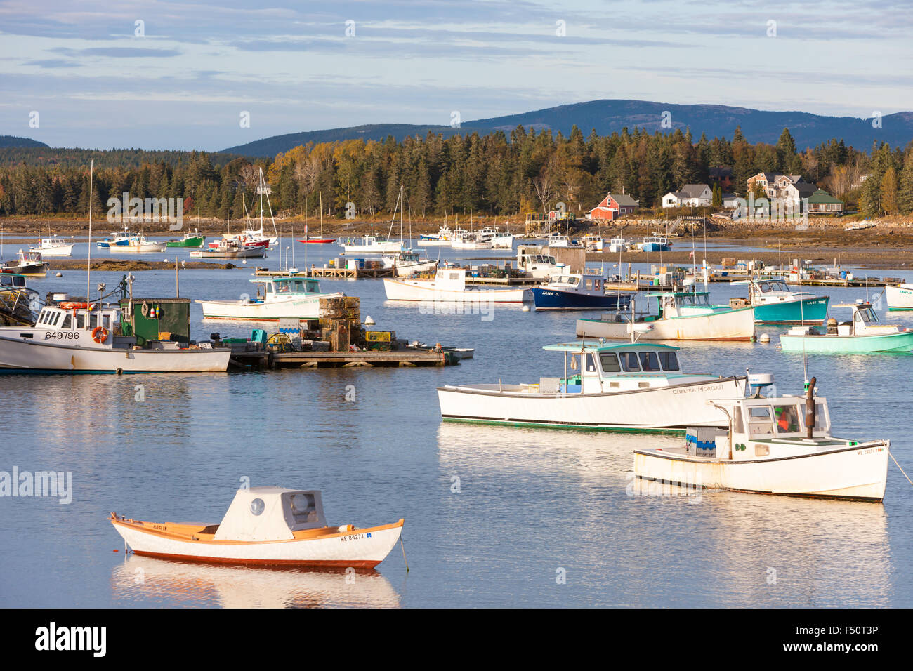 Lobster barche ormeggiate in porto basso in Tremont, Maine. Foto Stock