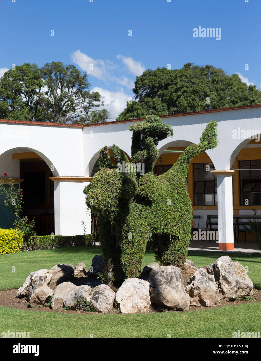 Il giardinaggio assume una forma d'arte nel piccolo parco di fronte ad un municipio edificio in Santa Maria del Tule, Oaxaca, Messico. Foto Stock