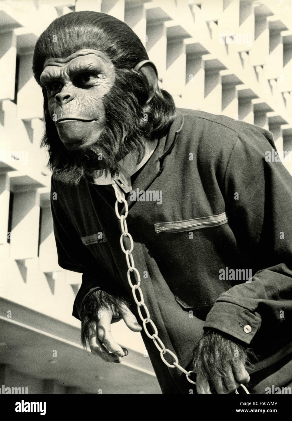 Una scena del film "Il pianeta delle scimmie", STATI UNITI D'AMERICA Foto Stock