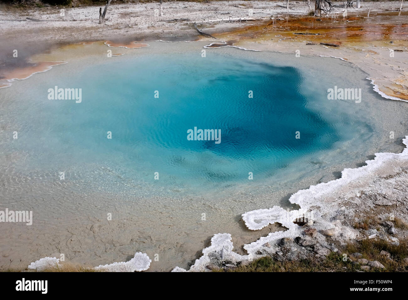 Celestino piscina nel parco nazionale di Yellowstone Foto Stock