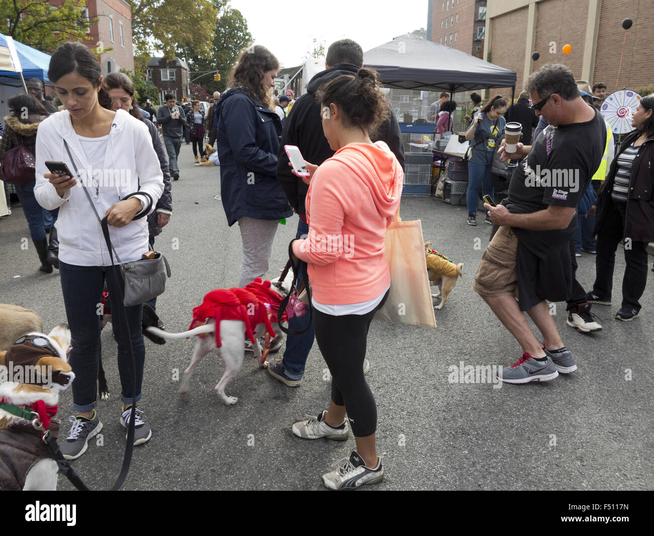 Proprietari di animali domestici su telefoni cellulari di Halloween, costume cane concorso in Kensington, Brooklyn, NY, 2015. Foto Stock