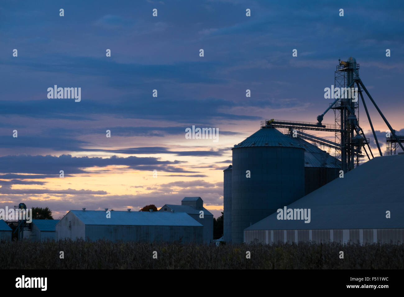 Ascensore del grano con silhouette al tramonto nell'Illinois rurale. Un simbolo dell'agricoltura e delle infrastrutture alimentari del Midwest contro un cielo d'ora d'oro. Foto Stock