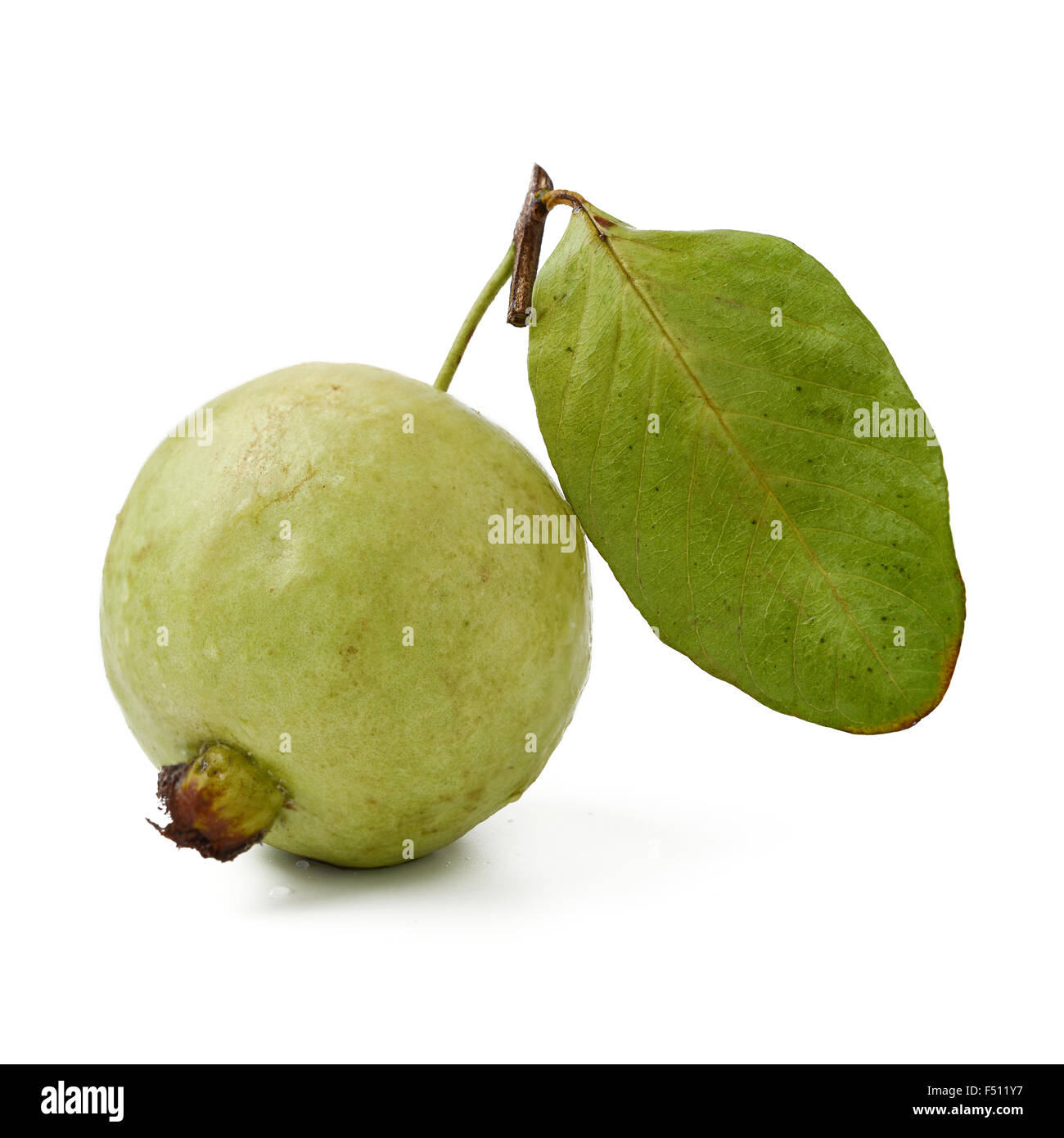 Frutto guava isolato su bianco Foto Stock