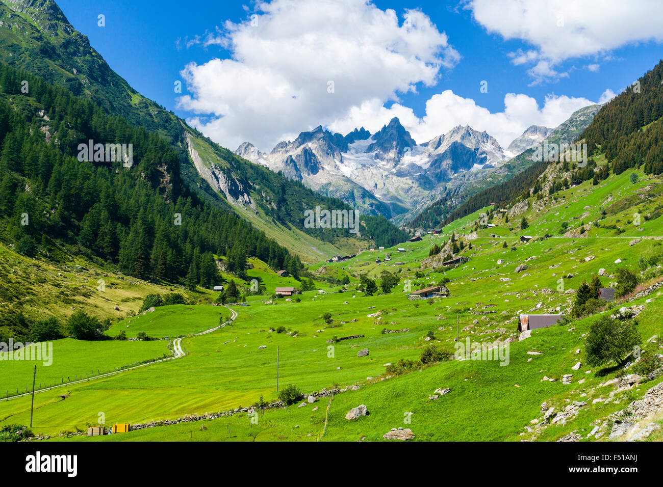 Alta altitudine paesaggio con alcune case di contadini, monti e prati verdi a sustenpass Foto Stock