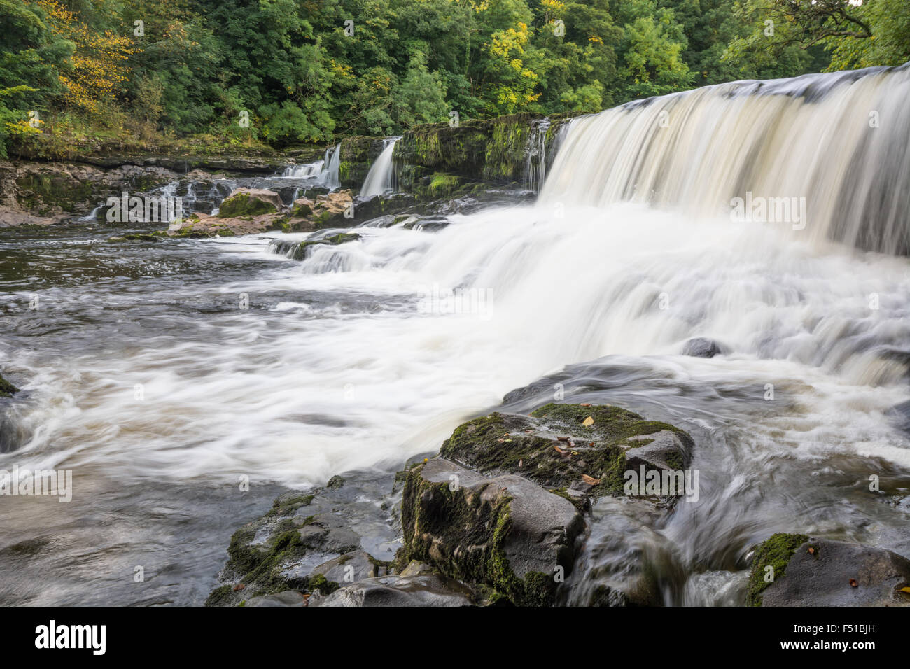 Wensleydale Aysgarth dell'acqua cade Foto Stock