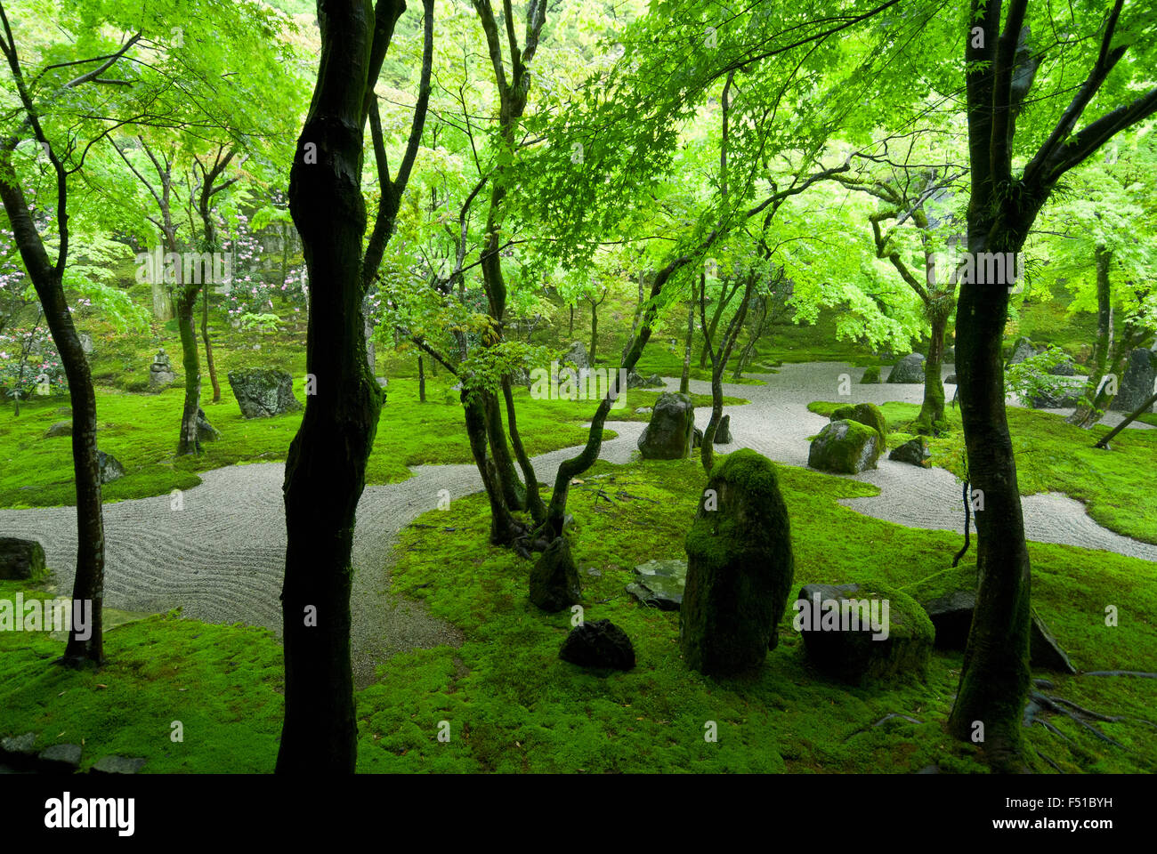 Dettaglio di asciugare il giardino Zen di Dazaifu Komiyo-Ji Tempio Fukuoka Giappone Foto Stock