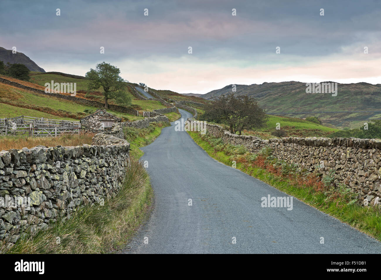 La lotta, una stretta strada nel Parco Nazionale del Distretto dei Laghi, Cumbria, England, Regno Unito, Gran Bretagna. Regno Unito Foto Stock