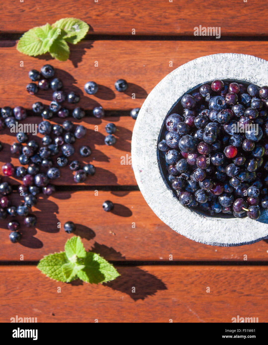 Vaccinium corymbosum, huckleberries o bussola di mirtilli e menta, all'interno di un recipiente in pietra, su sfondo di legno Foto Stock