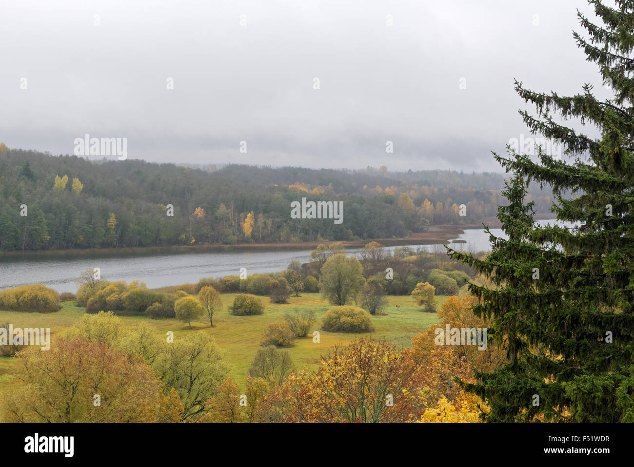 Il lago di Viljandi risiede nella profonda valle primordiale di Viljandi, Estonia Foto Stock