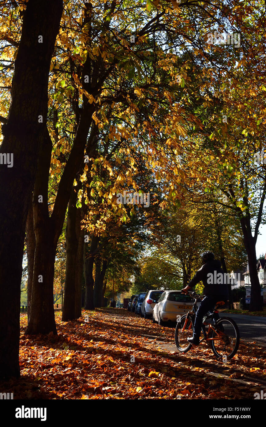Escursioni in bicicletta su figliata di foglia in autunno a Luton, Bedfordshire Foto Stock