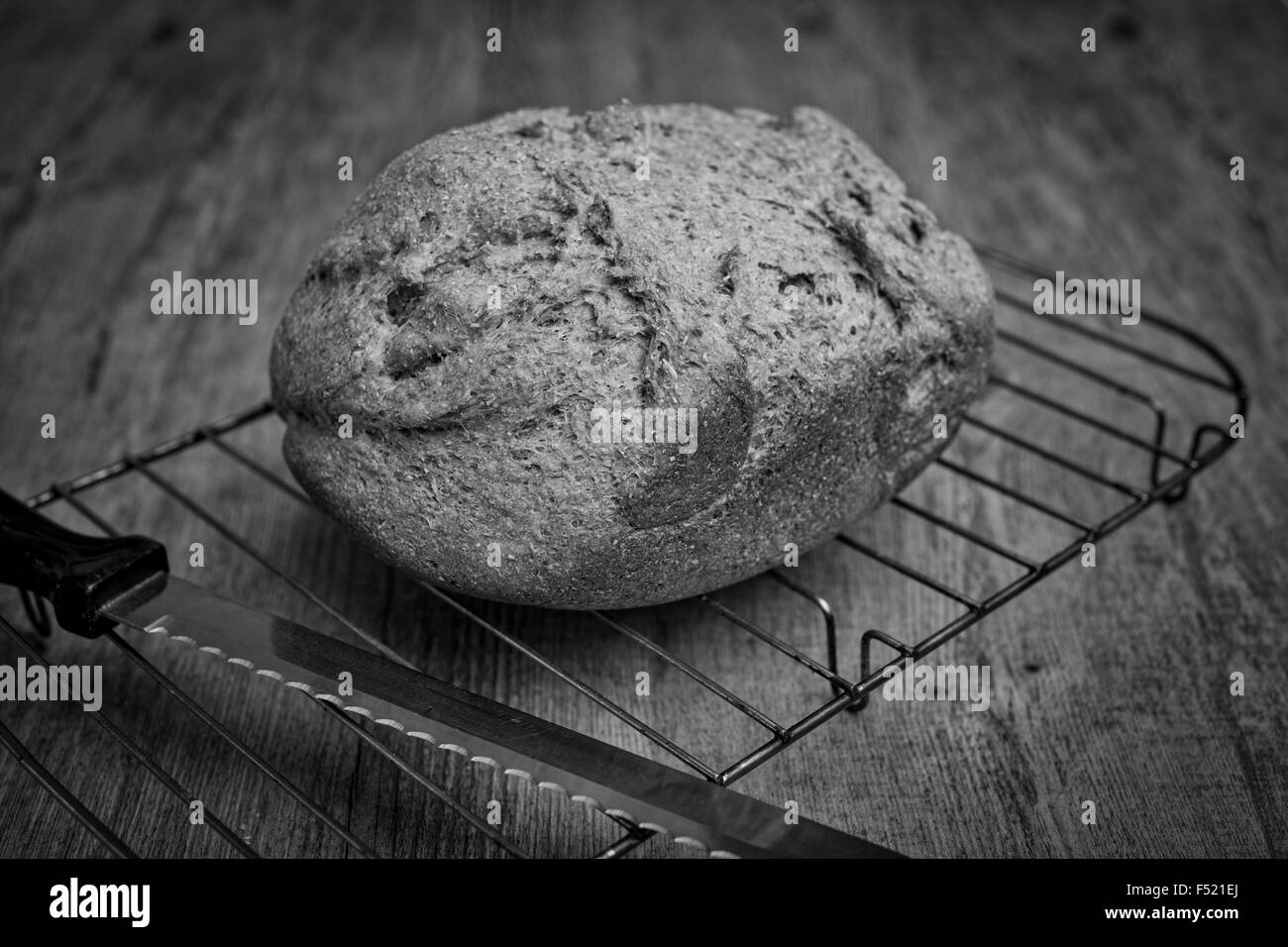 Filone di pane appena sfornato in bianco e nero Foto Stock