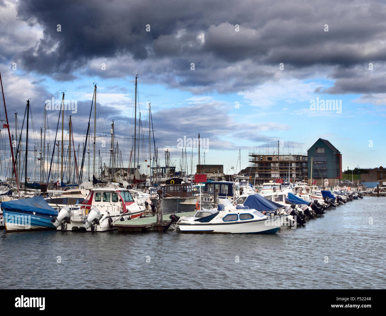 Ampio Marina e Coble Quay camminare sul mare Northumberland Inghilterra Foto Stock