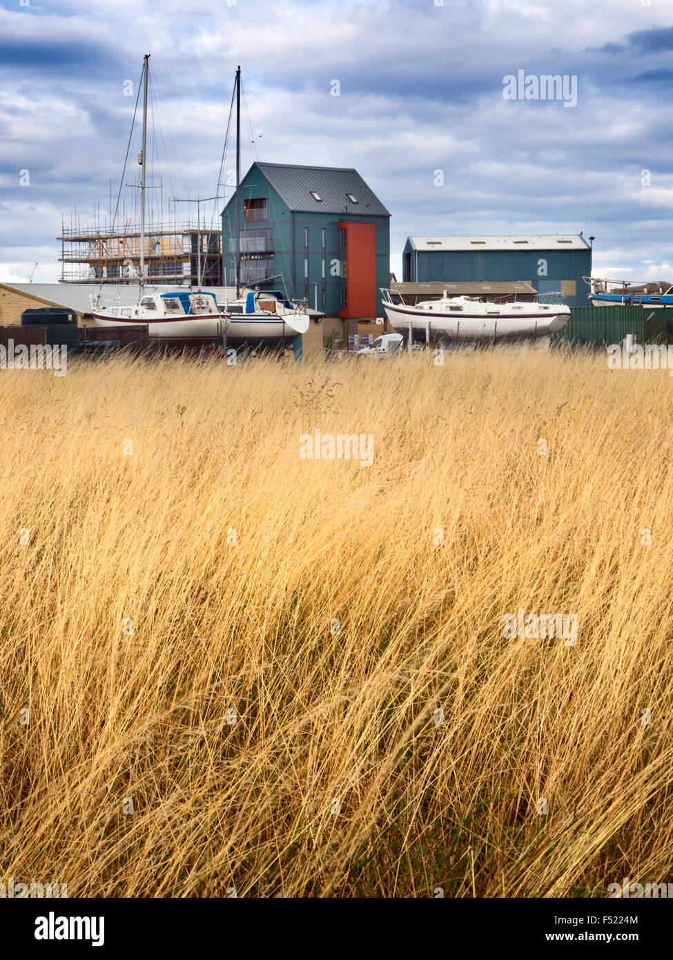 Coble Quay da treccia a camminare sul mare Northumberland Inghilterra Foto Stock