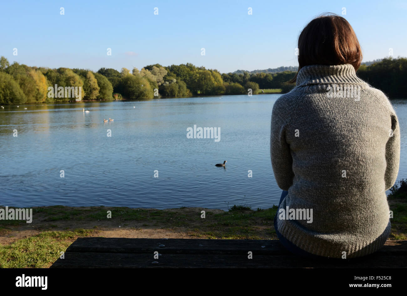 La donna in un maglione caldo si siede da solo su una panchina a guardare gli uccelli acquatici sul lago Foto Stock