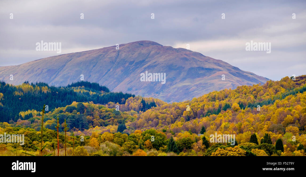 Colore di autunno nel Queen Elizabeth Forest Park nel Trossachs, Highlands della Scozia © Andrew Wilson Foto Stock
