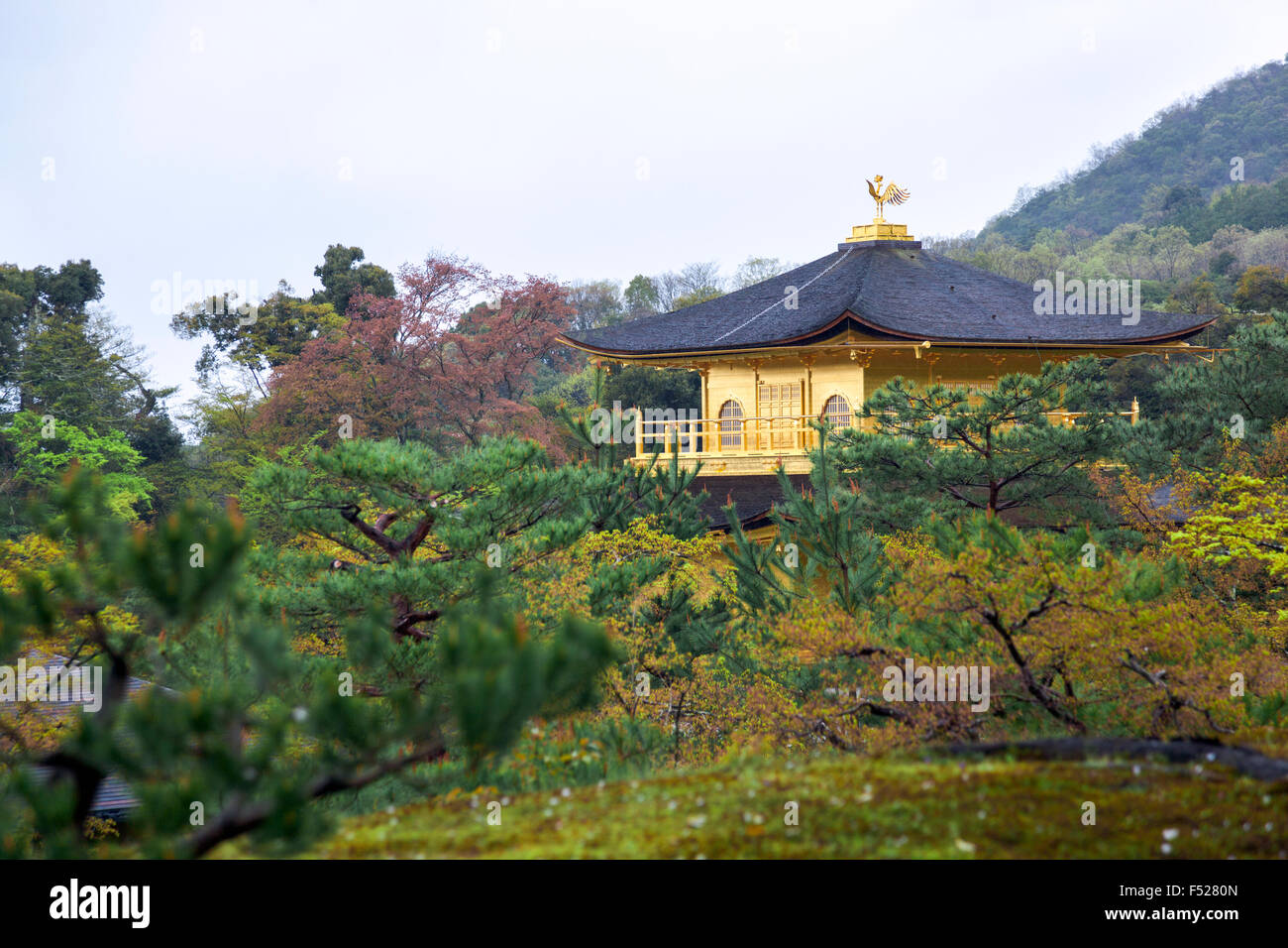 Kinkaku-ji - il Padiglione Dorato, Kyoto, Giappone Foto Stock