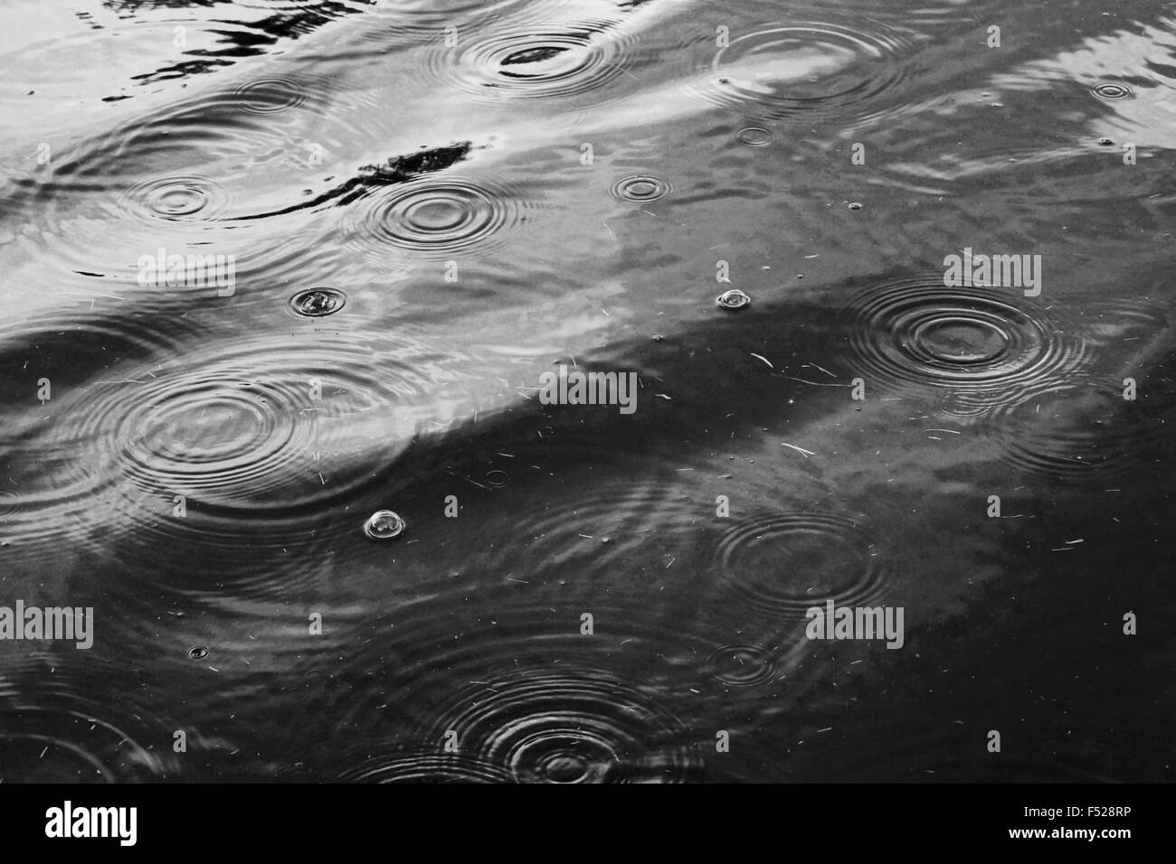 Gocce d'acqua in uno stagno, alto contrasto mono Foto Stock
