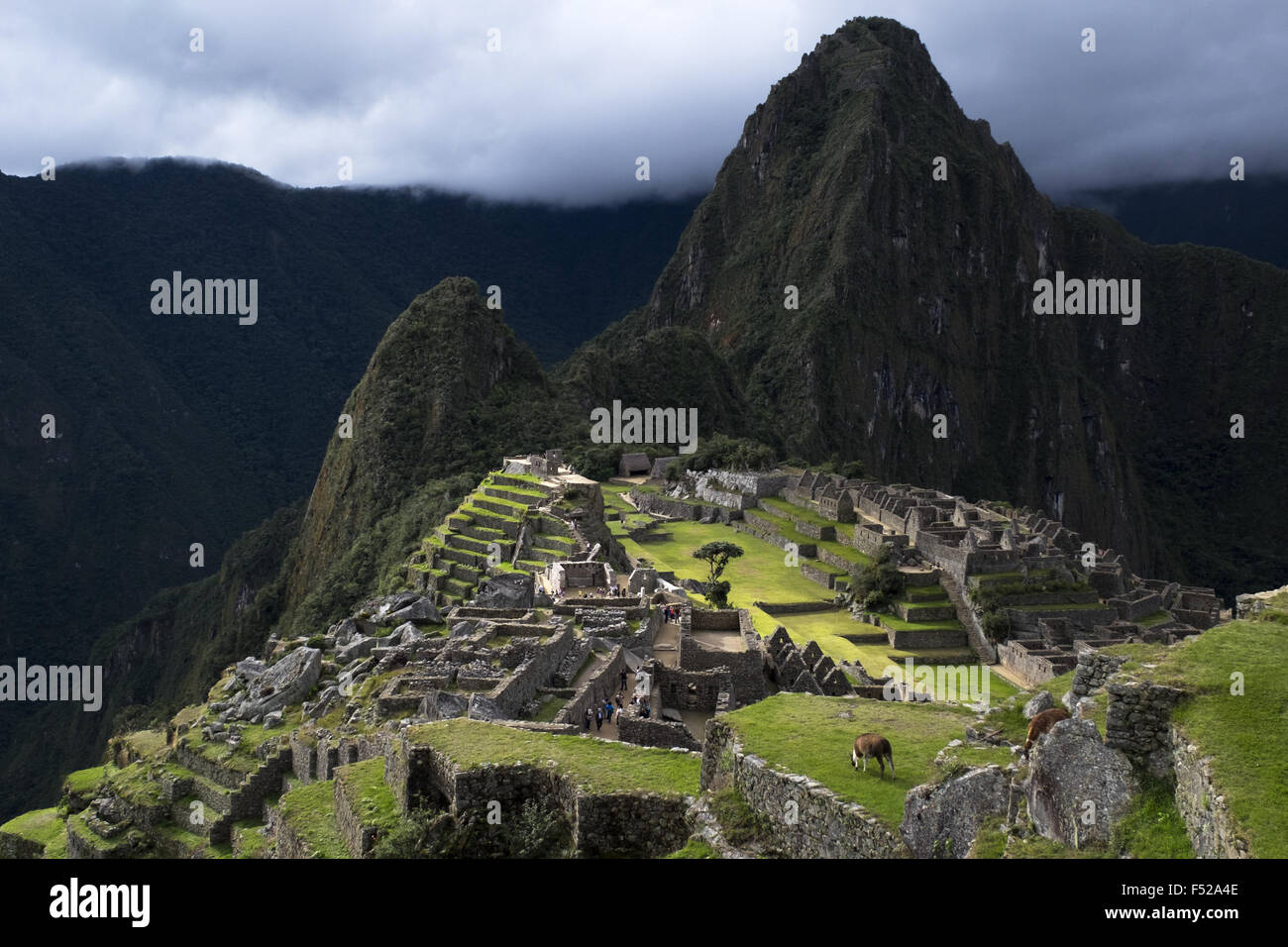 Rovine di Machu Picchu, periodo Inca, circa il XV secolo Foto Stock