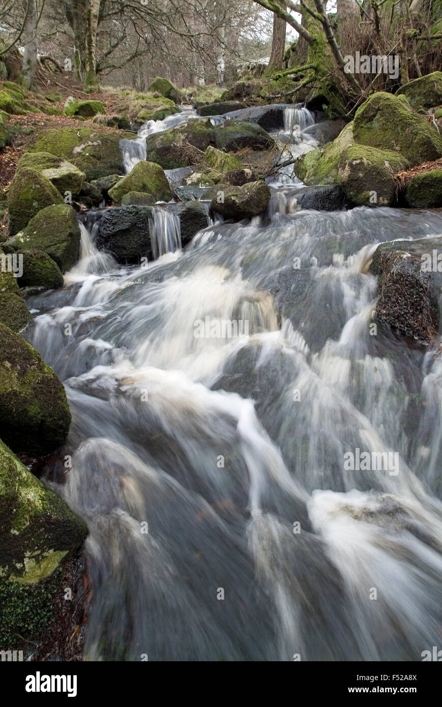 Cascata Monti Wicklow, Irlanda, Europa Foto Stock