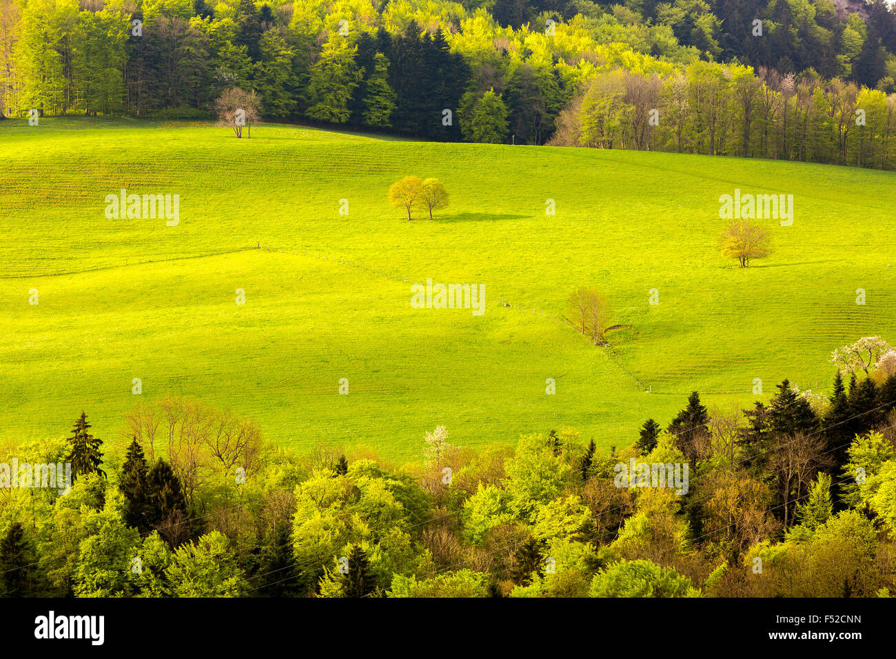 Paesaggio vicino Castelvecchio, cantone di Solothurn, Svizzera. Foto Stock