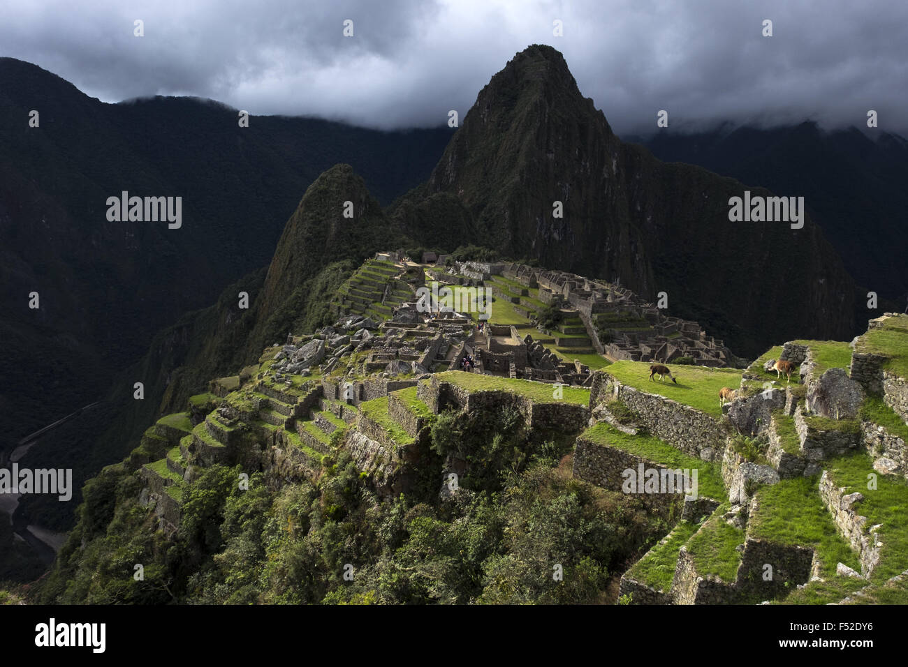 Rovine di Machu Picchu, periodo Inca, circa il XV secolo Foto Stock