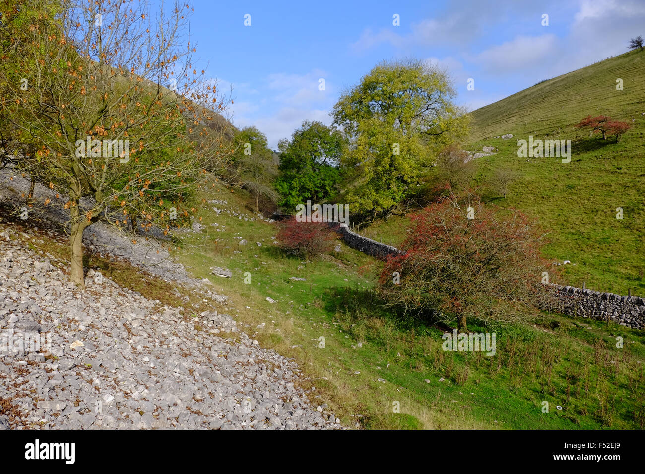 Biggin Dale nel Derbyshire Peak District UK Foto Stock