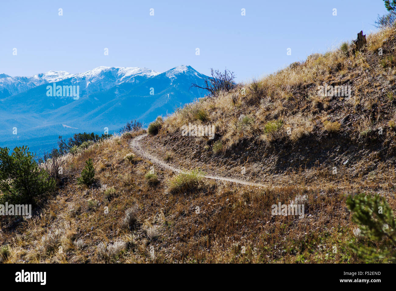 Escursioni & bike trail su 'S' Mountain (Tenderfoot mnt), Salida, Colorado, STATI UNITI D'AMERICA Foto Stock