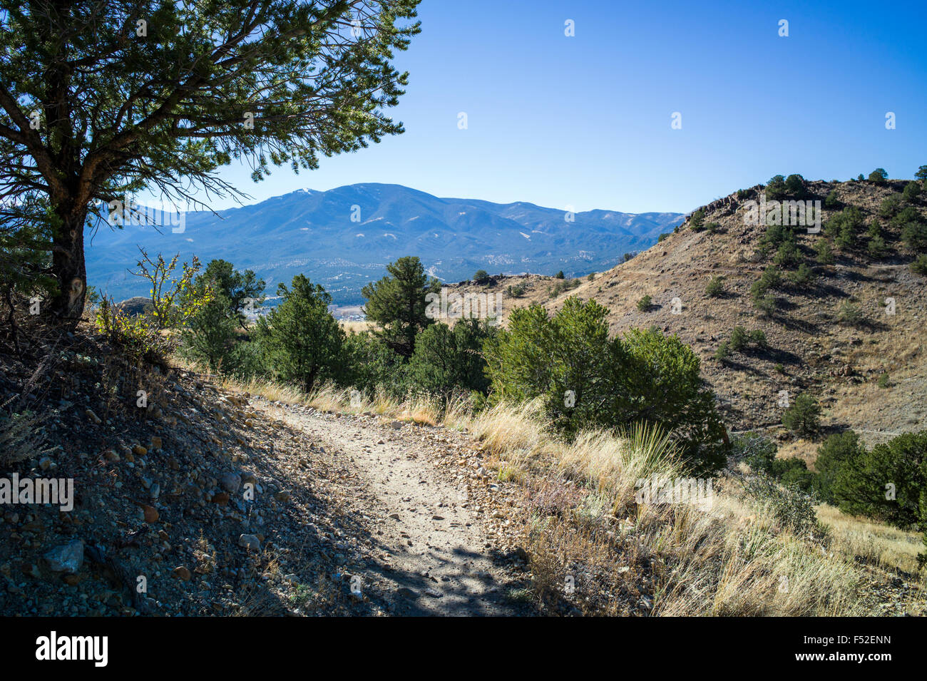 Escursioni & bike trail su 'S' Mountain (Tenderfoot mnt), Salida, Colorado, STATI UNITI D'AMERICA Foto Stock