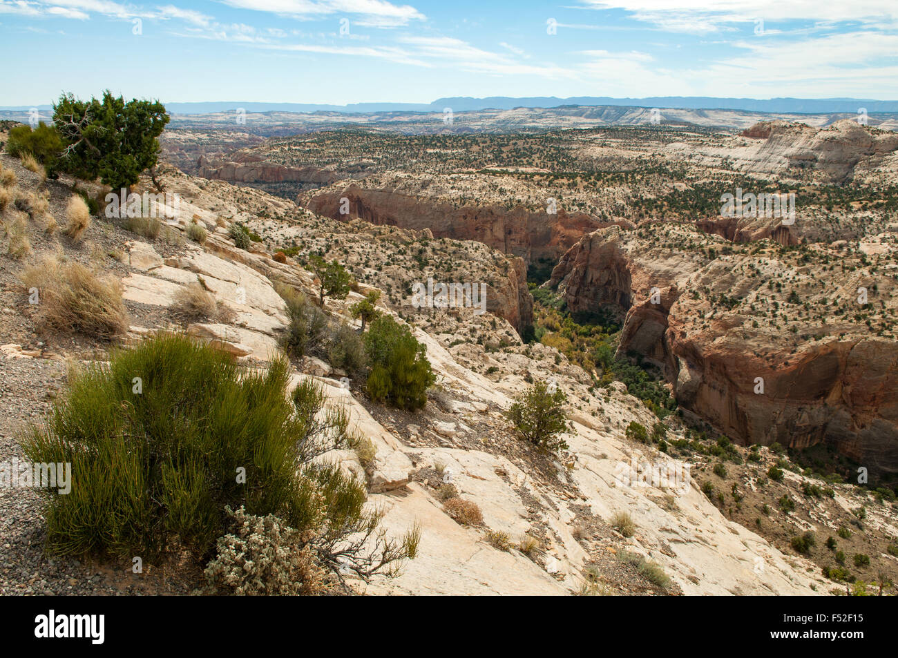 Vista in grande scala Escalante National Monument, Utah, Stati Uniti d'America Foto Stock