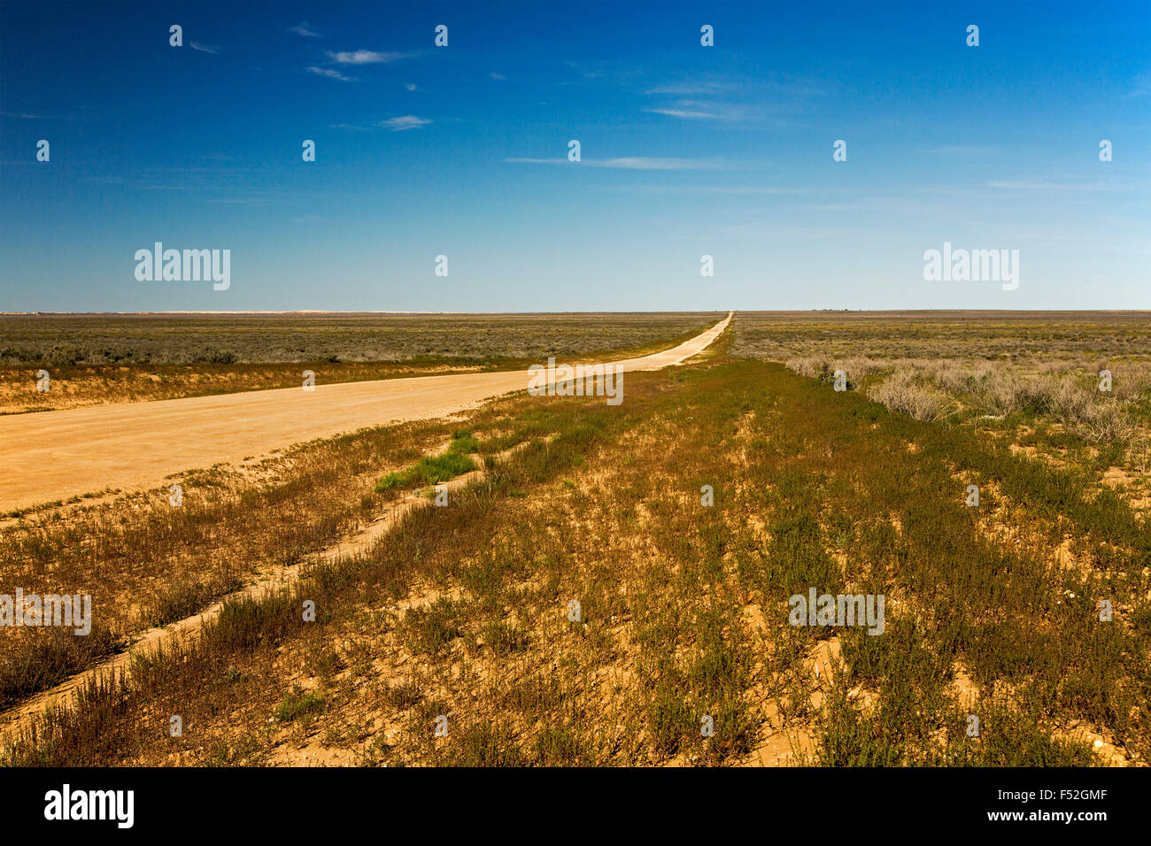 Outback australiano stradale attraverso pianure brulla del vasto lago secco Leaghur, spalmò con bassa vegetazione, all orizzonte sotto il cielo blu Foto Stock