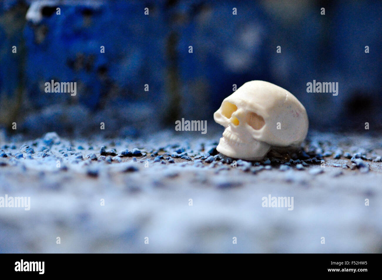 Close-up di cranio umano Foto Stock