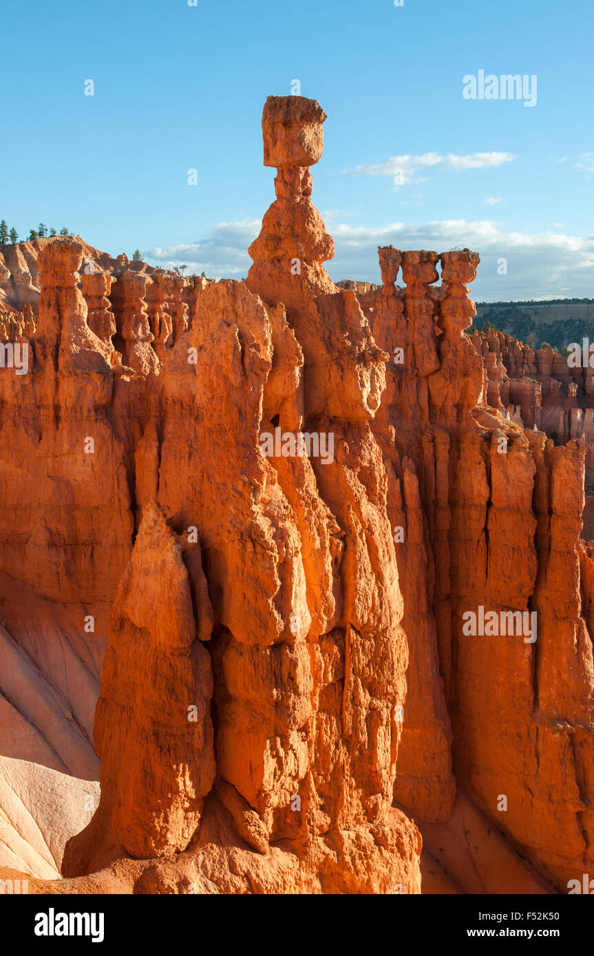 Thor il martello, Bryce Canyon dello Utah, Stati Uniti d'America Foto Stock