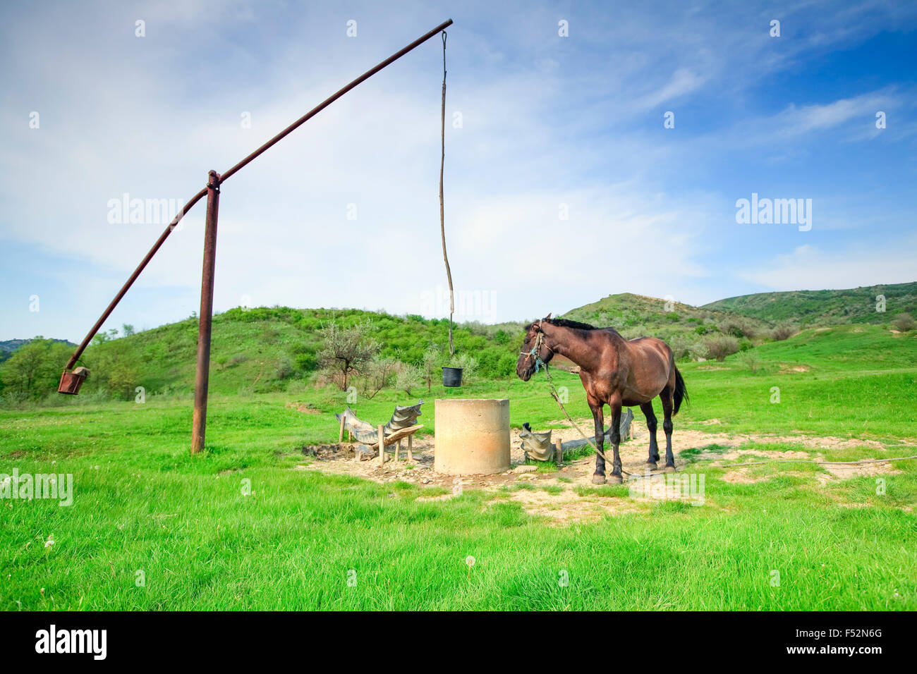 Il vecchio tipo di estrazione di acqua ancora utilizzato in alcuni territori della Romania e da un cavallo Foto Stock
