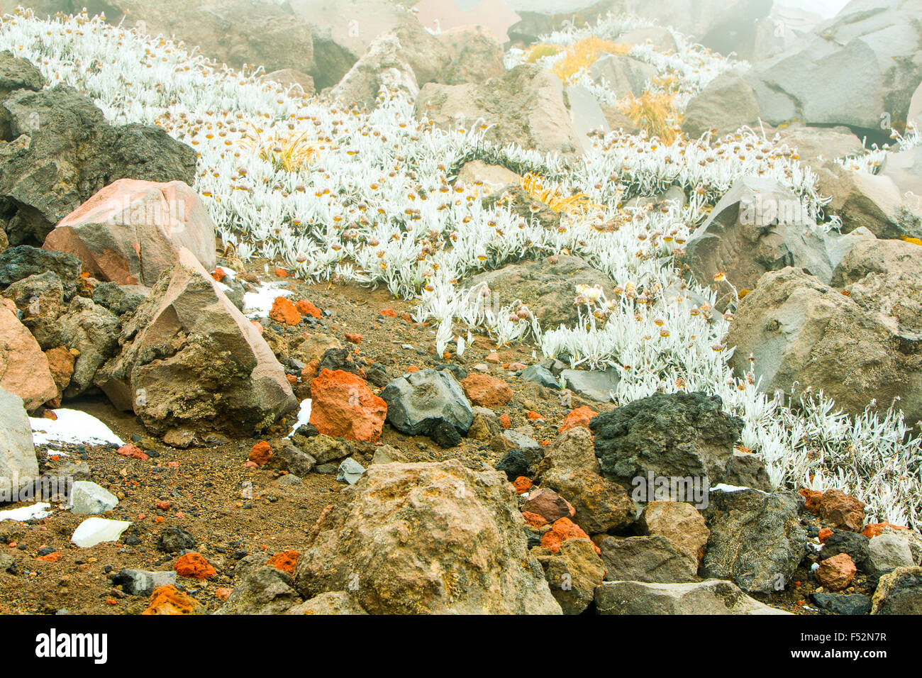 Misty femminizzati Haze blu sopra il vulcano Cotopaxi Ecuador Expodisc calibrato il bilanciamento del bianco Foto Stock