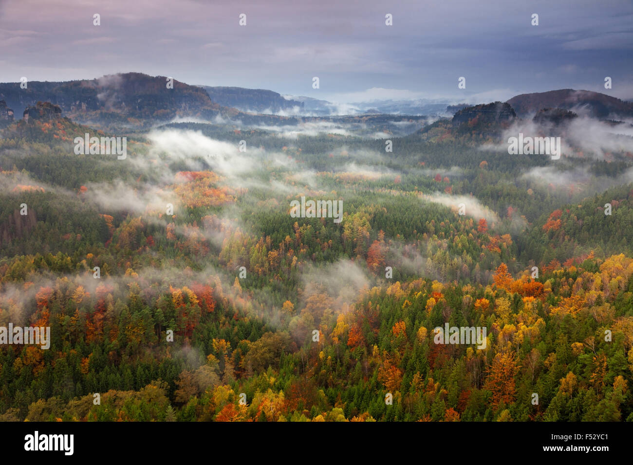 Teichstein, tramonto, valley, legno, autunno, Svizzera Sassone, Germania Foto Stock