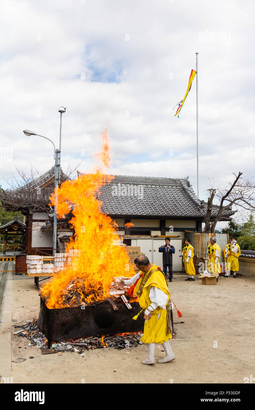 Giappone, Nishinomiya, Mondo Yakujin tempio buddista. Sacerdote in giallo Yamabushi robe gettando box-carico di gomaki e omikuji, carta incanta, nel fuoco. Foto Stock